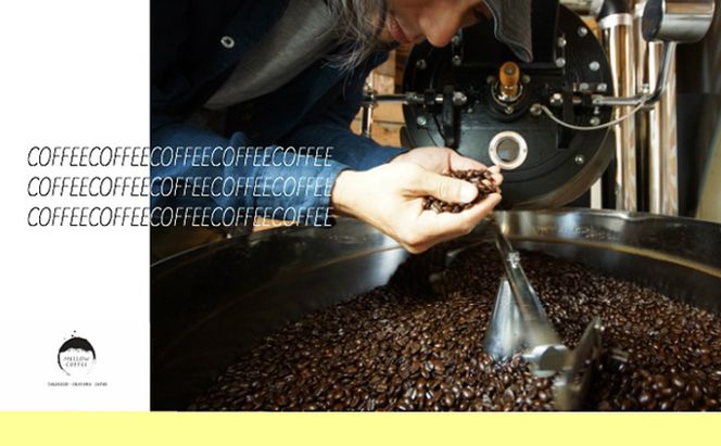 人気の珈琲 飲み比べ コーヒー豆 セット 200g×4種 世界をたっぷり楽しめる80杯分 【豆or粉】 珈琲豆 コーヒー粉 コーヒー 珈琲 ブレンド コロンビア豆 ブラジル