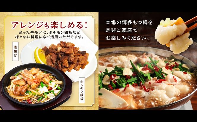 【A5-489】博多味噌もつ鍋 10人前(2人前×5セット)