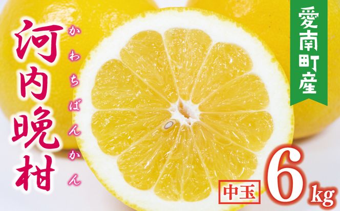 数量限定 先行予約 河内晩柑 樹齢 25年以上 中玉 6kg （ L ・ 2Lサイズ ） 8000円 みかん mikan 蜜柑 ミカン かわちばんかん 愛南ゴールド あいなん ゴールド 文旦 派生 和製 グレープフルーツ 産地直送 国産 農家直送 期間限定 特産品 ゼリー ジュース アイス 等に 人気 限定 甘い さわやか フルーツ 果物 柑橘 蜜柑 みかんの山祥 愛南町 愛媛県