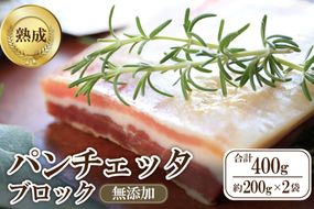 パンチェッタブロック（豚バラ肉の塩漬け）　約200g×2袋 ふるさと納税 豚肉 塩漬け ふるさと納税 ベーコン ふるさと納税 パンチェッタ 豚バラ 塩漬け スペイン料理　NI00021