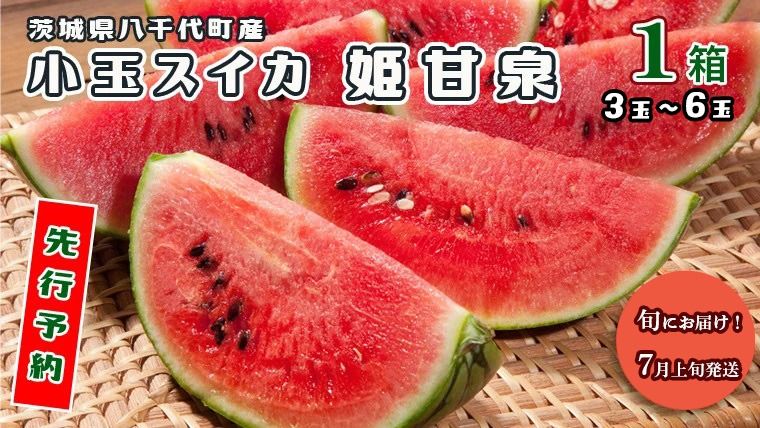 [ 先行予約 2026年7月上旬発送] 八千代町産 小玉スイカ 姫甘泉 1箱 (3〜6玉入り) すいか スイカ 西瓜 小玉 果物 フルーツ お取り寄せ 産地直送 茨城県 [AV002ya]