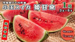 【 先行予約 2026年7月上旬発送】 八千代町産 小玉スイカ 姫甘泉 1箱 （3～6玉入り） すいか スイカ 西瓜 小玉 果物 フルーツ お取り寄せ 産地直送 茨城県 [AV002ya]