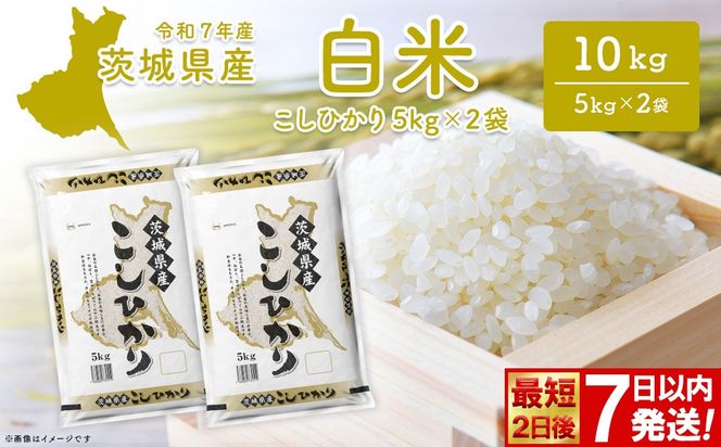 ◎最短2日後発送◎or月別発送 コシヒカリ 10kg (5kg×2袋) 茨城県産 米 小分け 2025年産 スピード便 コシヒカリ 【令和7年産/白米】 K2654
