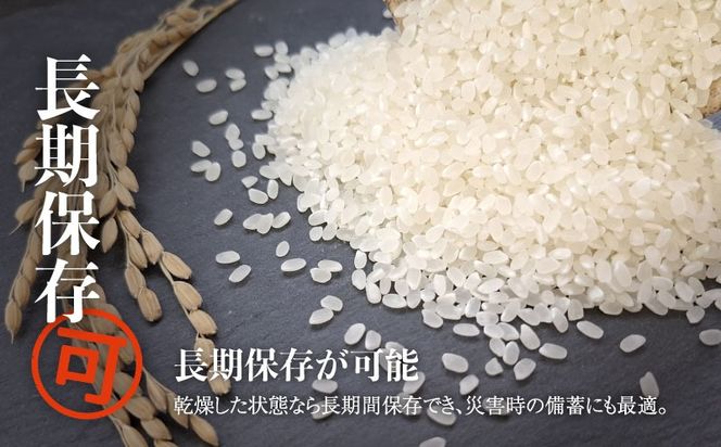 【令和７年産新米・予約】山梨県都留市産こしひかり 選べる容量[5kg・10kg] FB038.FB039