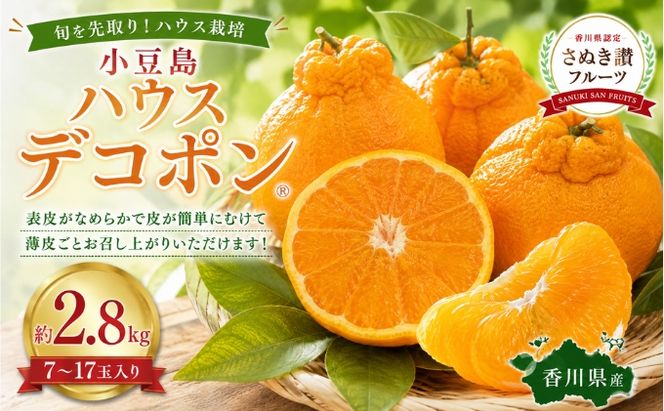 小豆島 ハウスデコポン 約2.8kg デコポン フルーツ 果物 香川県 土庄町