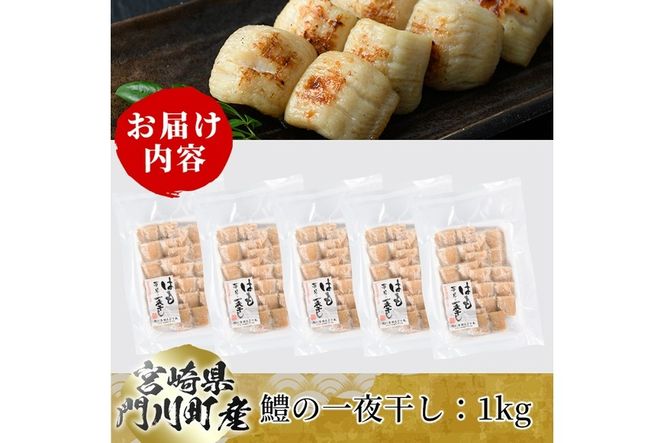 鱧の一夜干し(計1kg)ハモ 干物 魚介 おつまみ おかず 小分け 冷凍 国産 宮崎県 門川町【O-2】【門川漁業協同組合】
