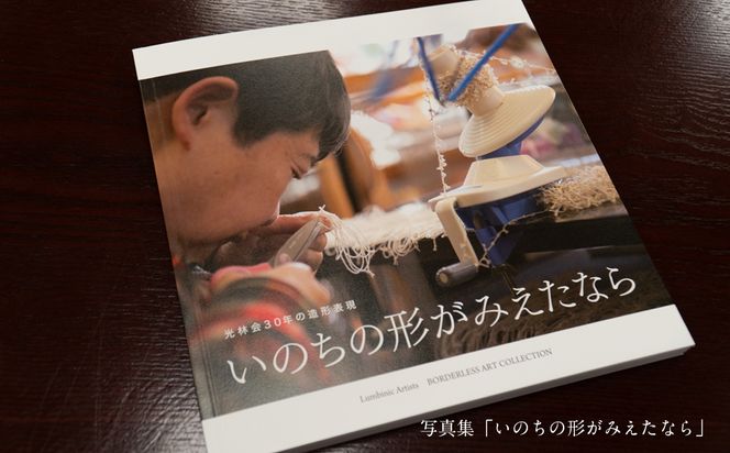 るんびにい美術館写真集「いのちの形がみえたなら」小林覚の「オリジナル・アート色紙」 【2310】