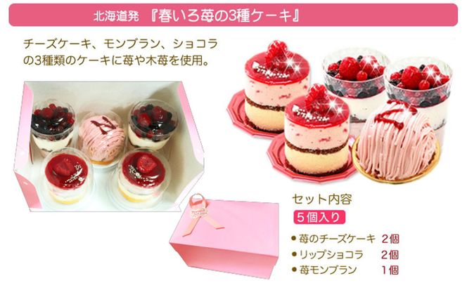 【3月中旬から発送】季節限定！苺の3種ケーキ　北海道・新ひだか町のオリジナルスイーツ ＜ 予約商品 ＞