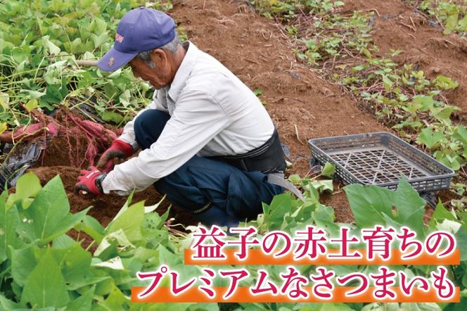 山﨑観光農園の栗かぐや 約 6kg｜栃木県 益子町 ふるさと納税 里山 ほくほく さつまいも 栗かぐや 栗のような甘さ (AU016)