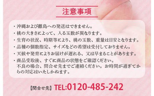 透過式光センサーまどか桃 特秀5kg相当 15玉～18玉＜ ふくしま未来農業協同組合 ＞ | ふくしま 桃 福島 もも 国見 モモ ※2026年8月上旬～8月中旬頃に順次発送予定 ※沖縄・離島への配送不可