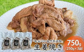 生姜焼き 750g (250g×3袋) 長谷川の自然熟成豚 湯煎 湯せん おかず 惣菜 レトルト レトルト食品 簡単調理 豚 ぶた ブタ 豚肉 肉 お肉 キャンプ アウトドア キャンプ飯 青森 青森県 鯵ヶ沢町 