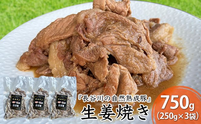 生姜焼き 750g (250g×3袋) 長谷川の自然熟成豚 湯煎 湯せん おかず 惣菜 レトルト レトルト食品 簡単調理 豚 ぶた ブタ 豚肉 肉 お肉 キャンプ アウトドア キャンプ飯 青森 青森県 鯵ヶ沢町 