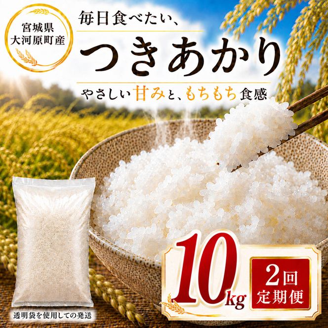 つきあかり 定期便 2回/10kg（5kg×2袋） 令和8年産 新米 ブランド米 白米 精米 【小分け】 宮城県大河原町産