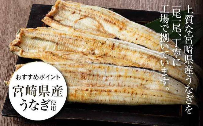 宮崎県産 うなぎ 白焼き 2尾セット K10_0006_3 
