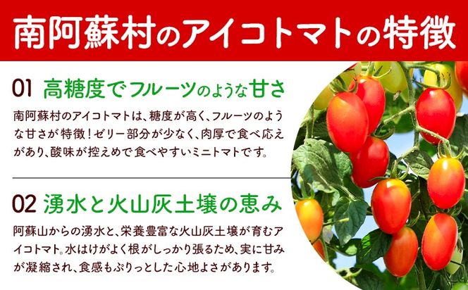 ミニトマト アイコ＆キャロルスター 選べる 種類 内容量 約2kg 約3kg ますだふぁーむ《7月上旬-11月末頃出荷》熊本県 南阿蘇村 アイコトマト キャロルスター 野菜 旬 夏野菜 トマト---sms_msf_af711_r7_11000_2kg---