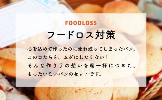 【6ヶ月定期便】【フードロス対策】自家製酵母の薪窯パンこだわりパンの詰め合わせセット ｜ 自家製酵母 薪窯パン ダーシェンカ ロスパン パンセット パン セット 送料無料