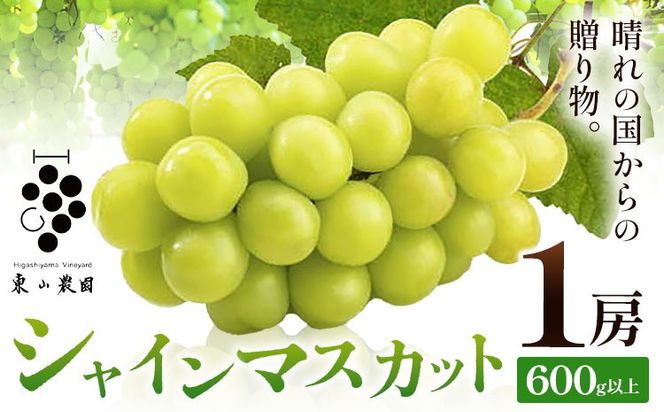 yR}szԂǂ VC}XJbgy2026Ns\z ̍̑蕨 VC}XJbg 600g ȏ 1[ s2026N9{-10{oׁt R_ uhE  }XJbg ʕ t[c Mtg R }s ---H-47---