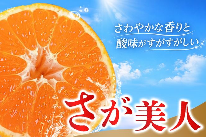 【2026年10月上旬より発送開始】佐賀美人(みかん) 4kg S～2Lサイズ【みかん ブランドみかん 柑橘 酸味 フルーツ デザート】(H116142)