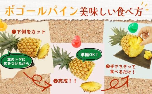 【先行予約】《2026年4月下旬頃より順次発送》石垣島産 ボゴールパイン 2～3玉セット 約2㎏【産地直送 石垣島産 石垣 完熟 パイン パイナップル スナックパイン ボゴール 】TD-2