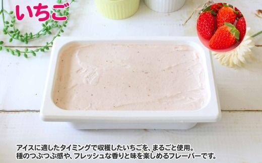 606.アイスクリーム いちご イチゴ ジェラート 業務用 2リットル 2L アイス 大容量  手作り 北海道 弟子屈町