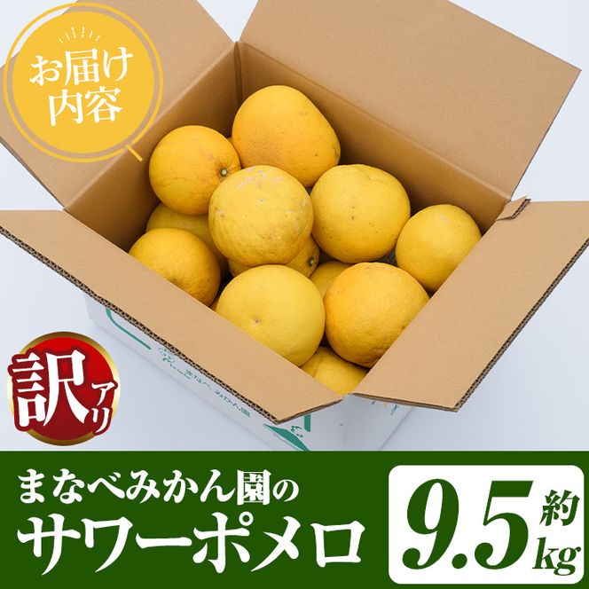 ＜先行予約受付中！2027年2月下旬以降順次発送予定＞訳あり！まなべみかん園のサワーポメロ (約9.5kg) 国産 鹿児島県産 阿久根市産 柑橘類 みかん ミカン 蜜柑 果物 フルーツ サワーポメロ 数量限定 デザート 訳アリ 【有限会社まなべみかん園】akn034-08