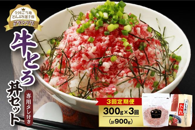 【3回定期便】人気の牛とろ丼セット 300g 専用タレ付き_S006-0063