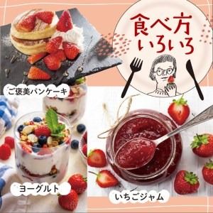 【先行予約】あまおう いちご 1,620g ( 約 270g × 6パック ) 【2026年3月初旬より順次発送】 糸島市 / 株式会社HSP-テクノ [AZL002] ブランド いちご あまおう 数量限定 先行予約 果物 フルーツ 苺 イチゴ