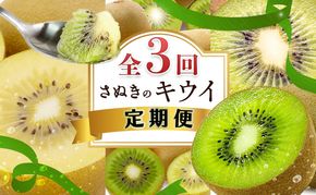 讃岐のキウイ定期便（全3回）【さぬきゴールドキウイ】【さぬきキウイっこ 】【香緑キウイ】