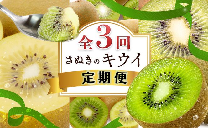 讃岐のキウイ定期便（全3回）【さぬきゴールドキウイ】【さぬきキウイっこ 】【香緑キウイ】