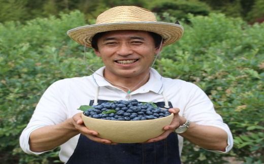 【先行予約30セット限定】大粒完熟ブルーベリー2種セレクト食べ比べセット ※2026年7月～8月中旬頃次発送予定 ※離島への配送不可