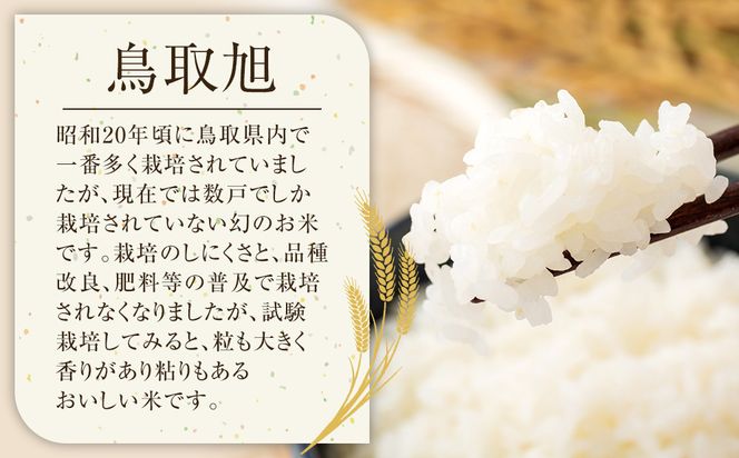 206.日置さん家のお米「鳥取旭」3kg×3袋【無洗米・2025年産】 313726_AE017VC03