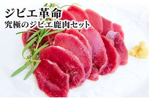 y{茧szWrGv`ɂ̃WrGZbg` N028-YZA509