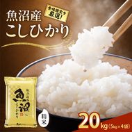【令和8年産 先行予約】食味鑑定士厳選！魚沼産こしひかり ２０ｋｇ（５ｋｇ×４） 白米 安心 安全 こだわり 米 コシヒカリ 新潟県 十日町市