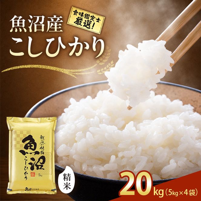 【令和8年産 先行予約】食味鑑定士厳選！魚沼産こしひかり ２０ｋｇ（５ｋｇ×４） 白米 安心 安全 こだわり 米 コシヒカリ 新潟県 十日町市