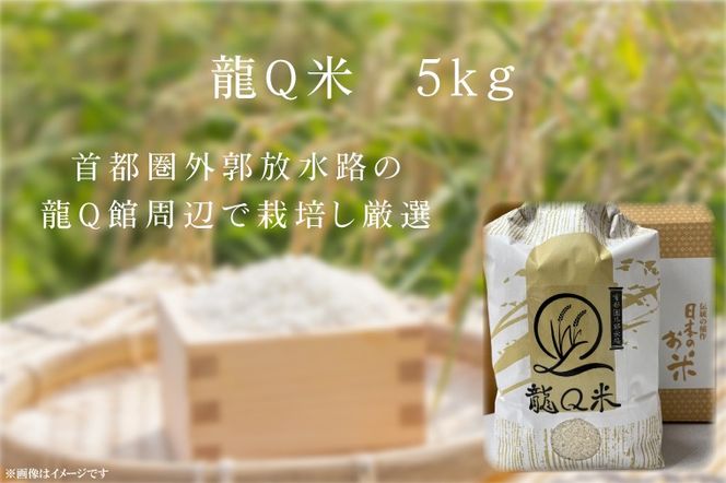 AO002 龍Q米（５ｋｇ）