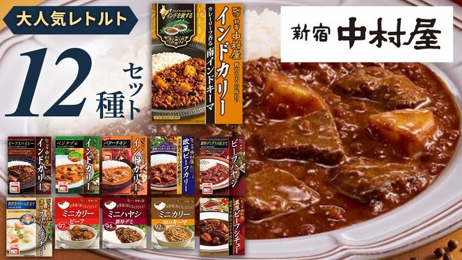 新宿 中村屋 レトルト 食べ比べ セット ( Aセット 12種 ) レトルトカレー カレー レトルト食品 常温 詰め合わせ 時短 レンジ 調理 人気 洋食 ビーフカレー 数量限定 贈答 保存 保存食 ストック 非常用 非常食 老舗 [DM001us] レンチン レンジ 