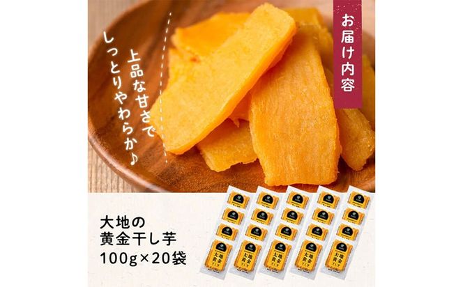 大地の黄金干し芋 計2kg(100g×20袋) b0-177