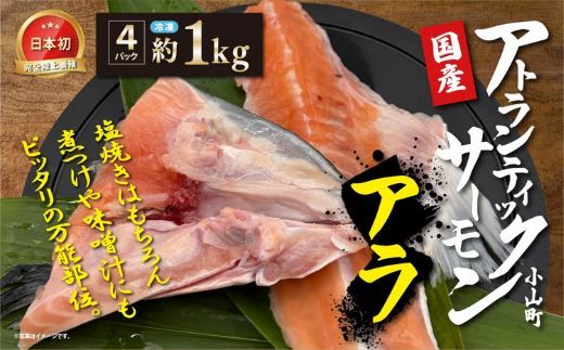 日本初 完全陸上養殖 静岡県小山町産 アトランティックサーモン 冷凍 アラ4パック 約1kg