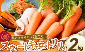 〈予約受付〉メディア出演多数！【期間限定】（お試し）鈴盛農園の甘～いにんじん　スウィートキャロットリリィ 2kg　H022-016