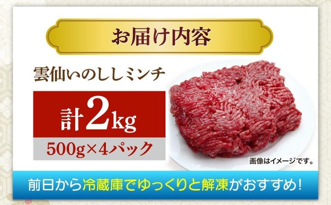 猪肉 ミンチ 2kg 雲仙いのしし / ひき肉 肉 イノシシ ジビエ いのしし ハンバーグ / 南島原市 / 株式会社高田牧場[SDB013]
