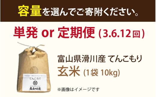 富山県滑川産「てんこもり」与文のお米（玄米10kg）産地直送 袋 玄米10kg おにぎり お米 白米 国産 ご飯 ごはん 富山県 滑川市 アグリめぐみ B-050001
