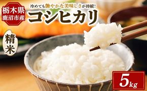 令和7年度産 コシヒカリ 精米 5kg | 白米 お米 米 こしひかり 農家直送 栃木県 鹿沼市 ※北海道・沖縄・離島への配送不可