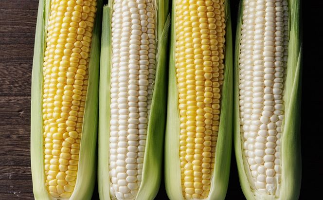 ［2026年先行予約］牛窓産とうもろこし まるでフルーツ！生で甘い、茹でて美味い！「桃太郎コーン」と「うしまどんな」のセット 約4kg 8～12本入り 産地直送 食べ比べ 
