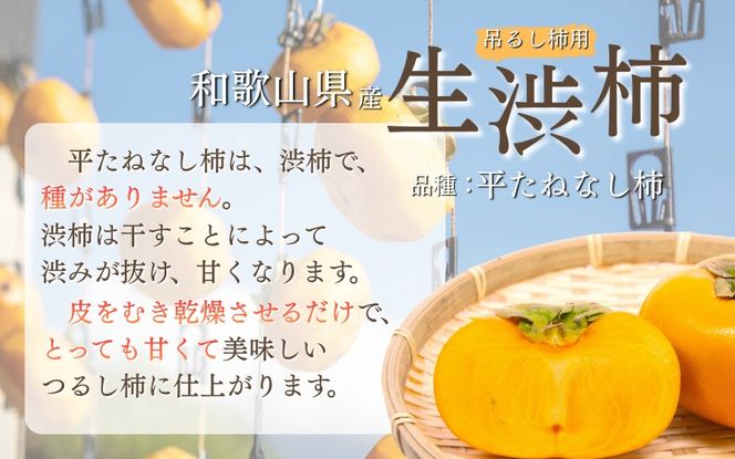 甘さが違う！とっても甘くなる生渋柿（平たねなし柿）吊るし柿用  T字枝or吊るしクリップ付付約1.5～2kg　約6～12個＜2026年10月中旬～11月上旬ごろ順次発送＞-Ted【art017B】