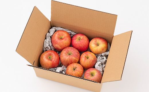 FYN6-596 ご家庭用 山形県産 品種おまかせ りんご 赤色系 約2kg 2026年10月中旬から順次発送 果物 くだもの フルーツ 林檎 リンゴ アップル 秋果実 生産者支援 農業者支援 支援品 自宅用 家庭用 訳アリ ワケアリ 山形県 西川町 月山