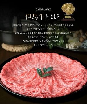 【ふるさと納税】但馬牛 ロースと赤身 店長おすすめ部位 食べくらべ 500g 肉 お肉 牛肉 ロース 牛ロース ロース肉 薄切り うす切り 赤身 各250g 食べ比べ 詰め合わせ セット 焼肉 焼き肉 BBQ バーベキュー 冷凍【配送不可地域：離島】【1242705】 兵庫県 新温泉町 送料無料