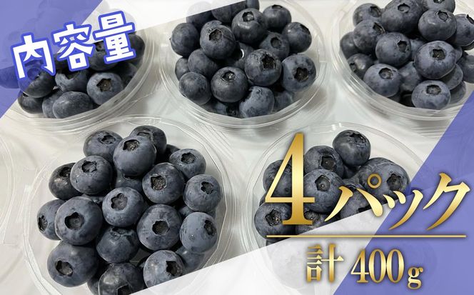 【先行予約】極上摘みたてブルーベリー　100g×4パック【期間限定】