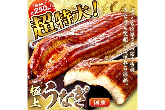 【7月24～26日配送】超特大！極上！国産うなぎ蒲焼 1尾 250g前後 ふるさと納税 鰻 九州産 国産 ウナギ 有頭 蒲焼き うな丼 うな重 うなぎ 国産　YK00400_01