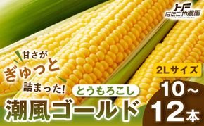 【夏の味覚】潮風ゴールド　2Lサイズ  10～12本 とうもろこし トウモロコシ ゴールドラッシュ 黄色 潮風ゴールド スイートコーン 茹でとうもろこし BBQ 焼き肉 白浜町 304018_ET01