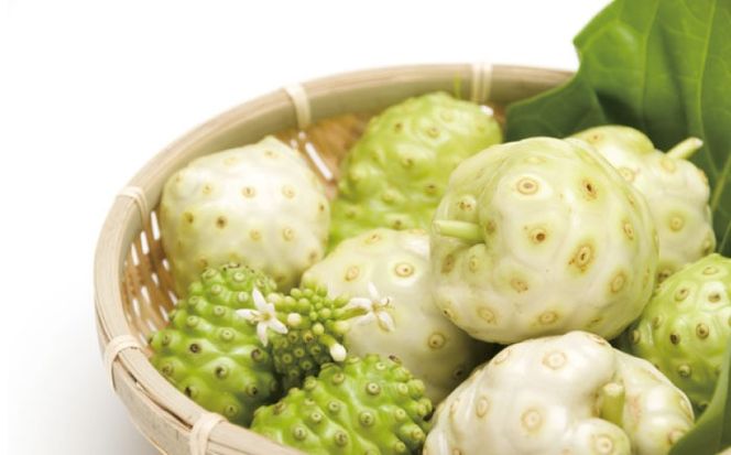 沖縄県産ノニ100％使用『神寿 SHINJU』720ml×12本 ノニジュース 沖縄 健康ドリンク 健康食品 ギフト 沖縄市/有限会社おきりゅう[BCBB005]